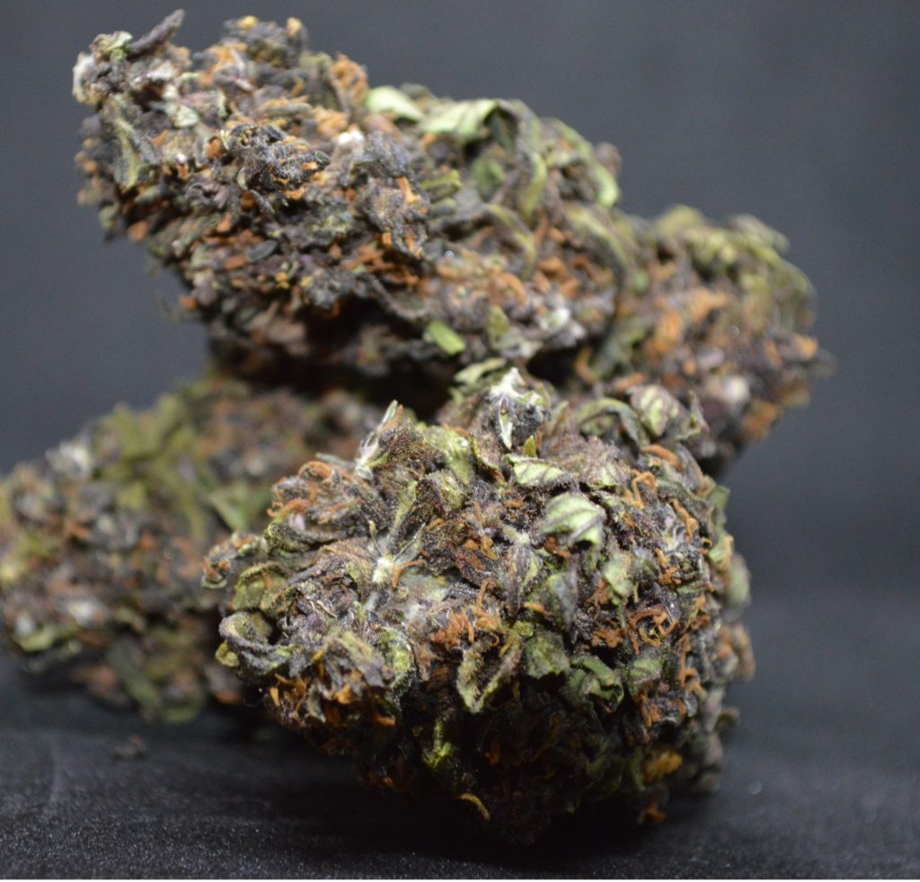 CBD kvety – Purple Haze – 5g